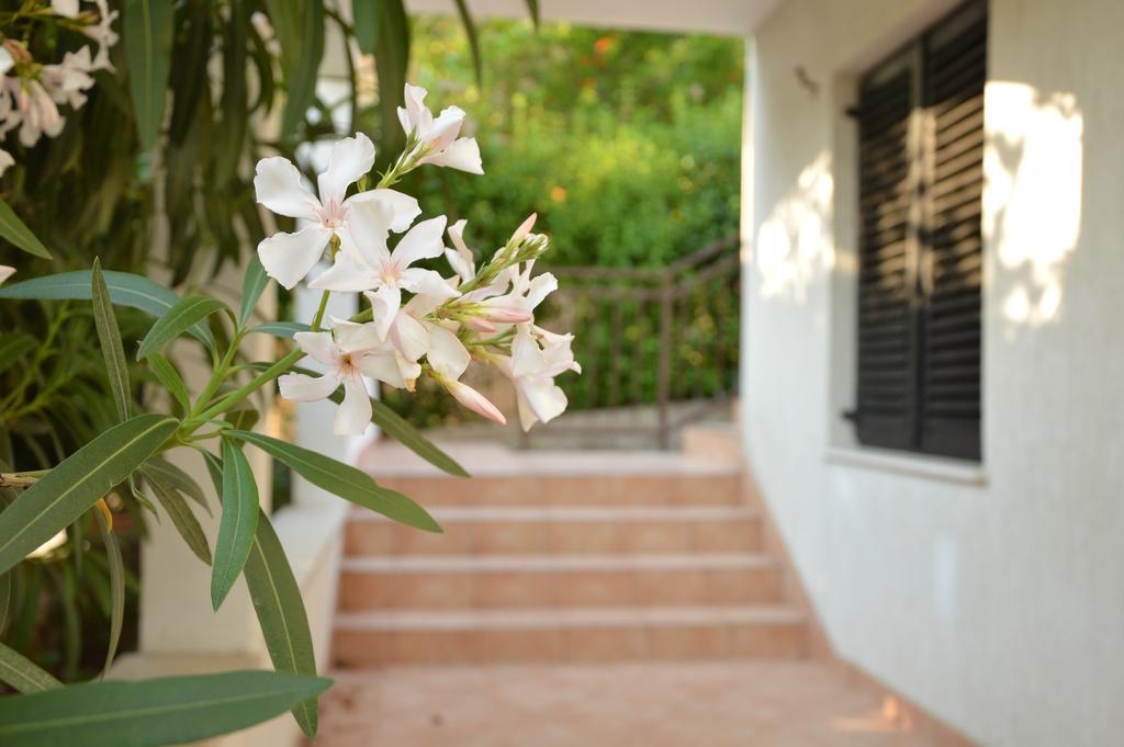 Holiday House Maja Podglavica Экстерьер фото